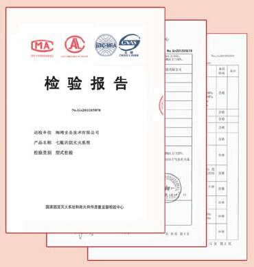 有管網氣體滅火檢測報告